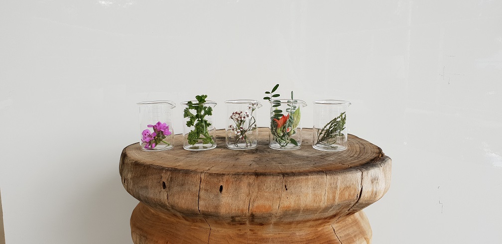 Experience Fynbos Tasting
