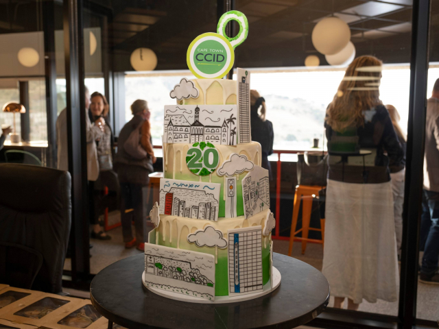 CCID 20 year cake