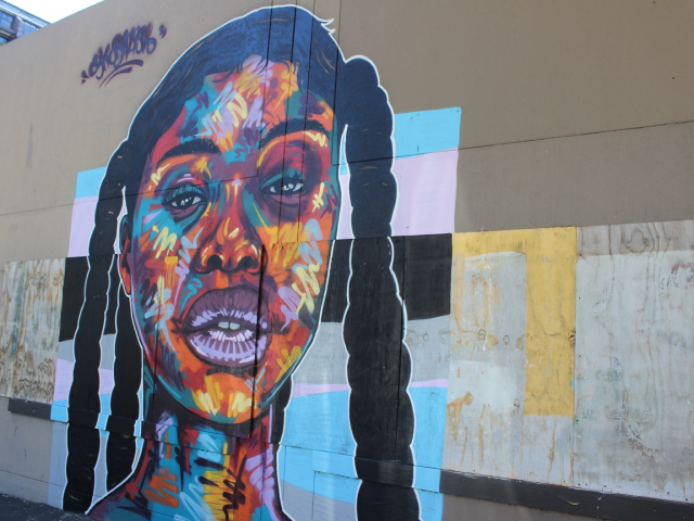 Fynbos wall art