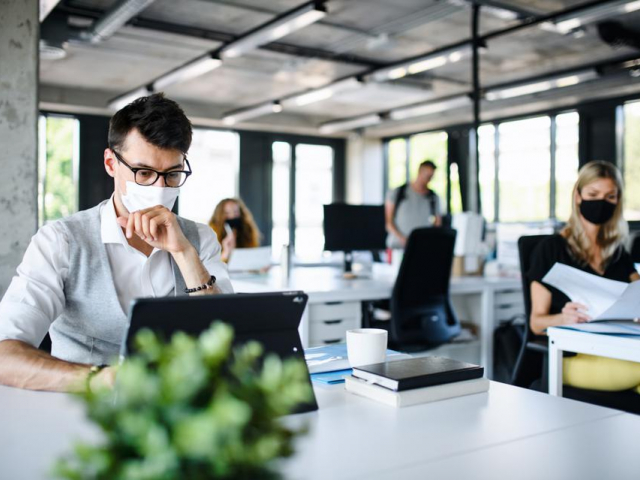living and working trends