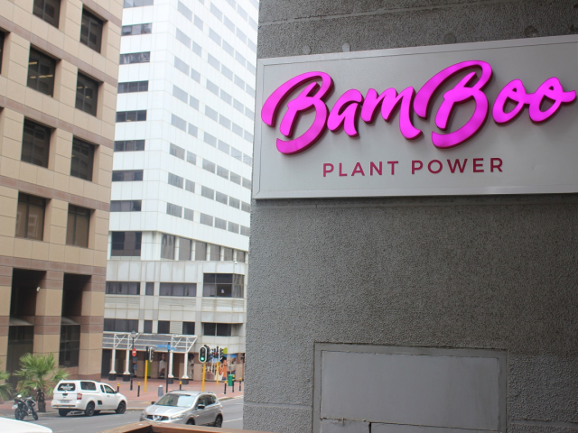 Bamboo Plant Power