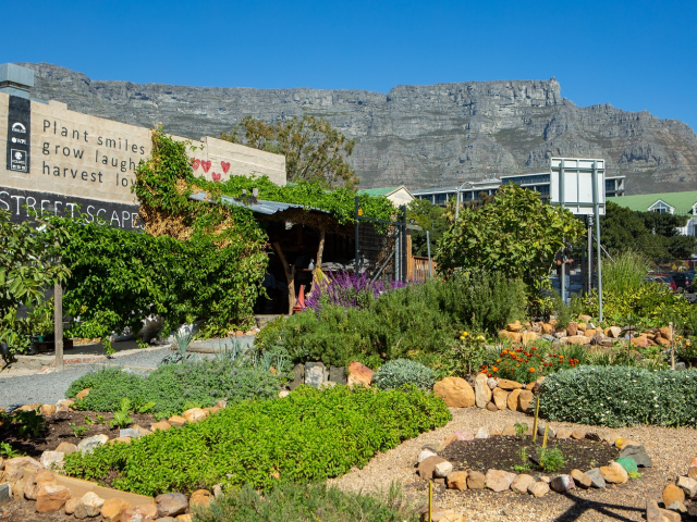 Khulisa Streetscapes Garden
