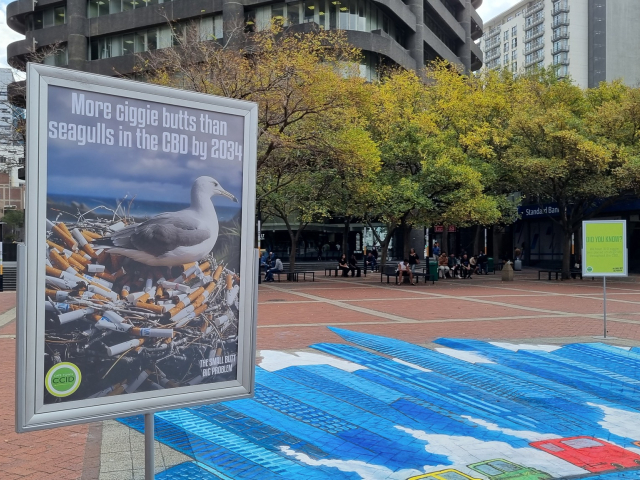 “Small Butt Big Problem” anti-litter campaign