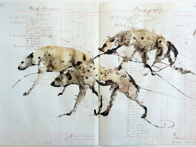Hannelie Coetzee's Eco Queer creature series