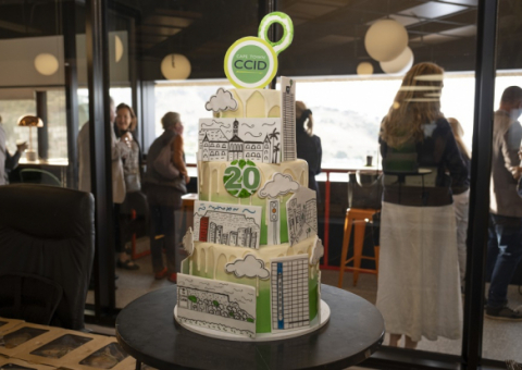 CCID 20 year cake at AGM
