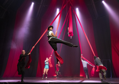 Zip Zap Circus