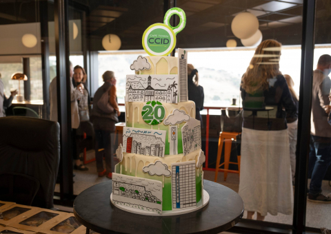 CCID 20 year cake