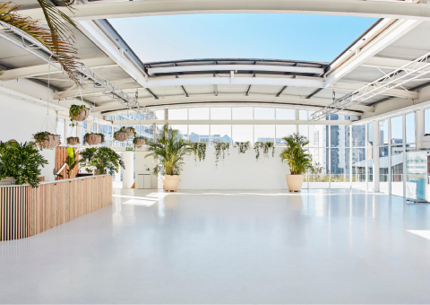 Daylight Studio