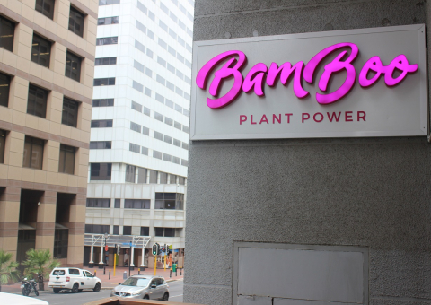 Bamboo Plant Power