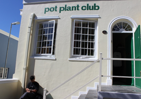 Pot Plant Club