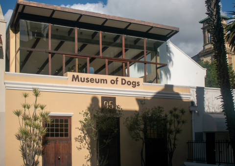 Museum of Dogs