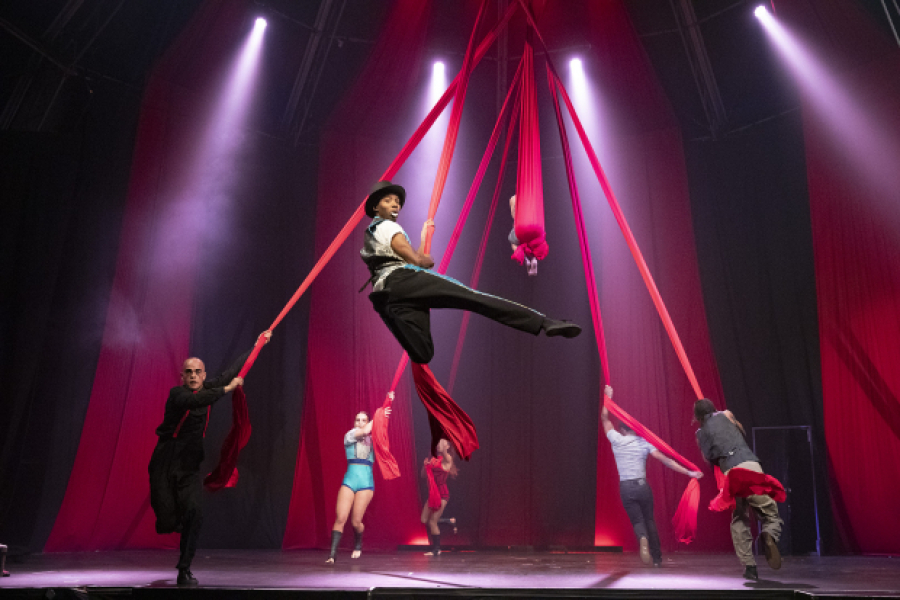 Zip Zap Circus