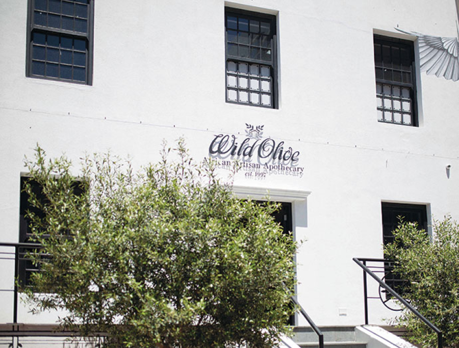 Wild Olive