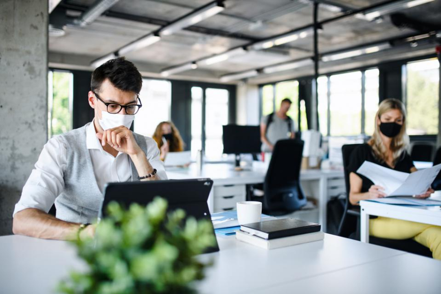 living and working trends