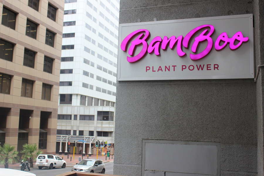 Bamboo Plant Power