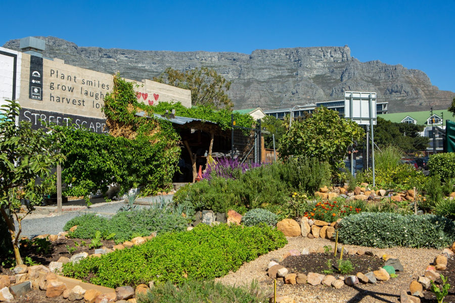 Khulisa Streetscapes Garden