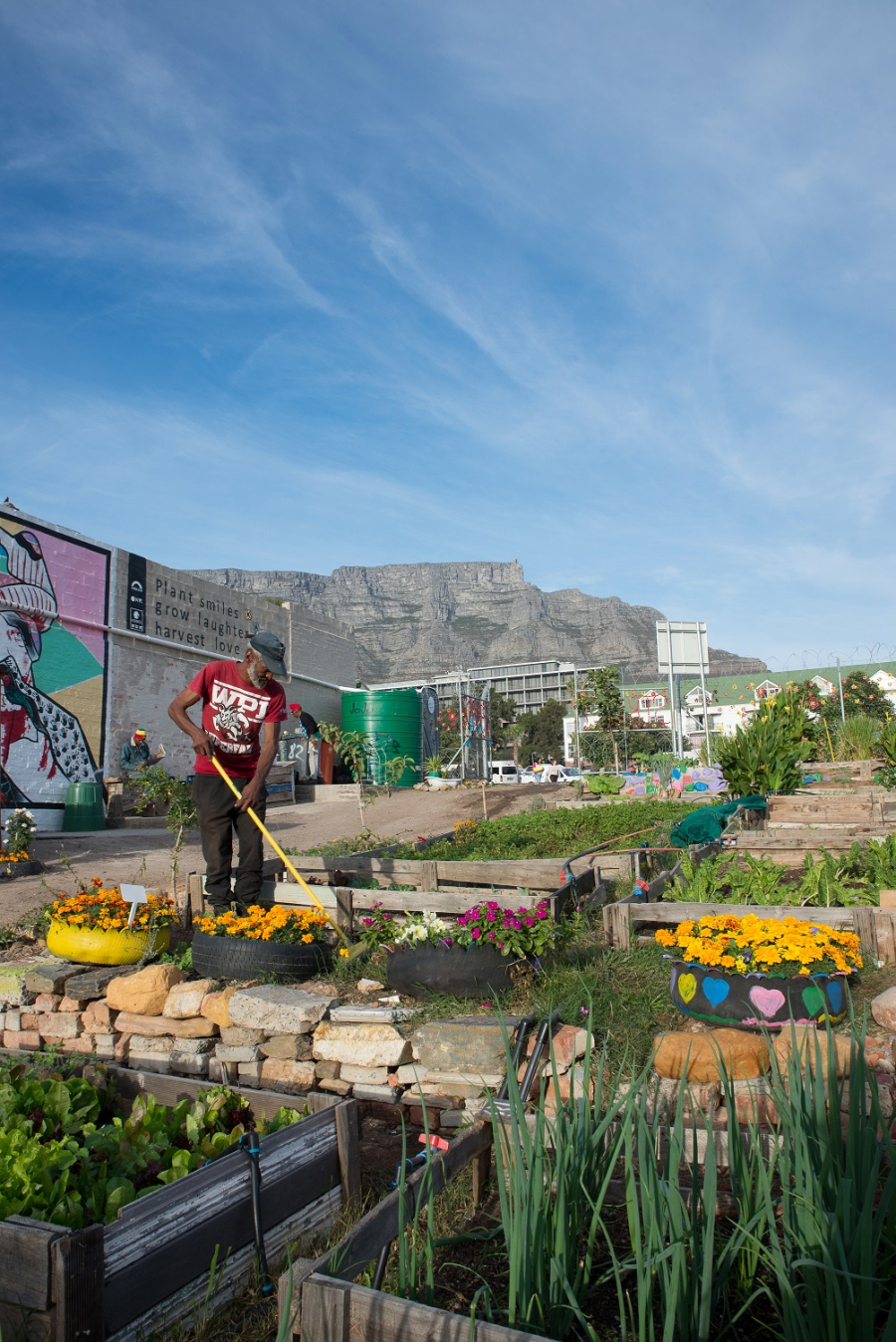 Khulisa Streetscapes garden