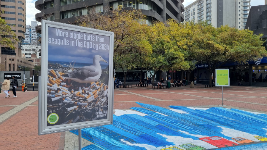 “Small Butt Big Problem” anti-litter campaign