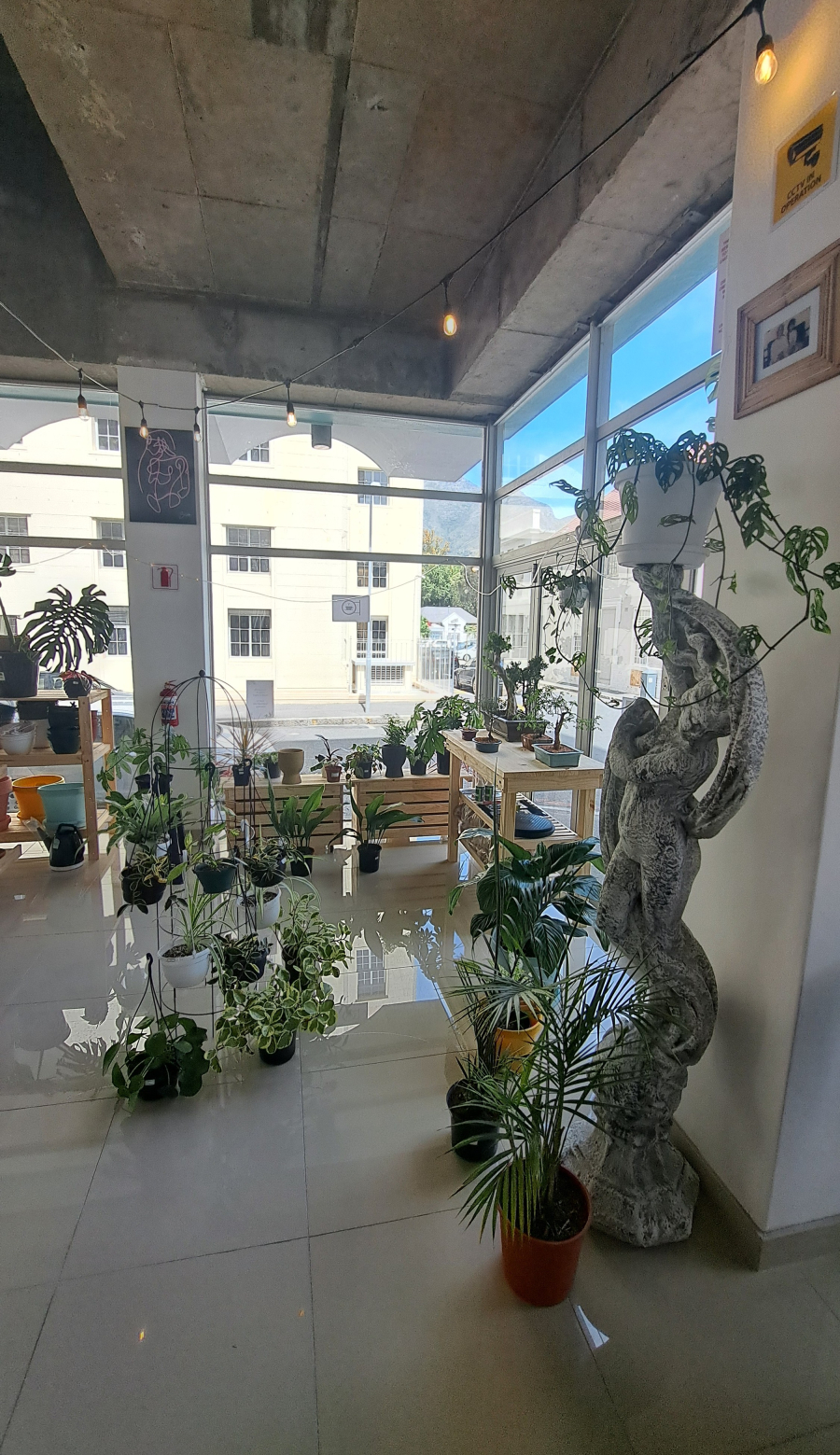 District Six Plant Cafe