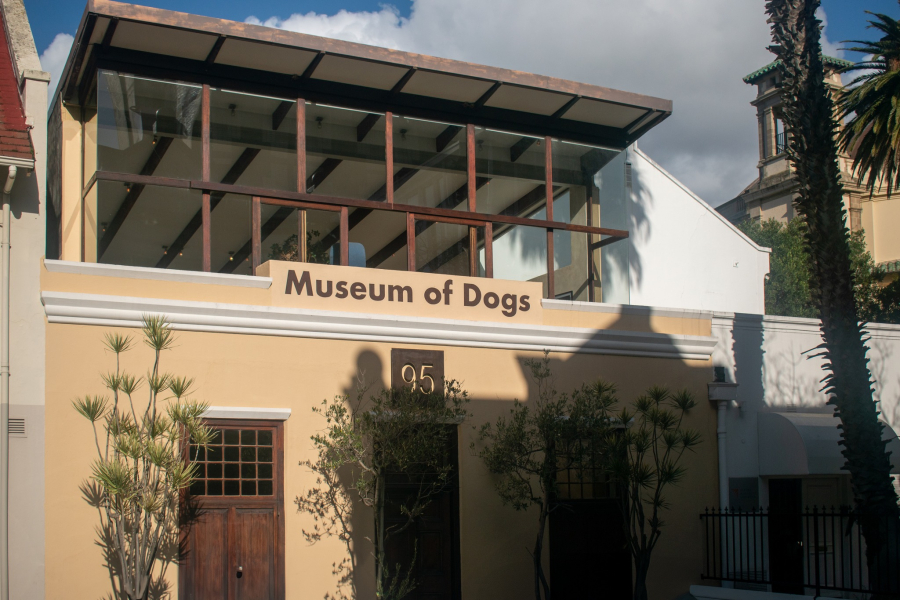 Museum of Dogs