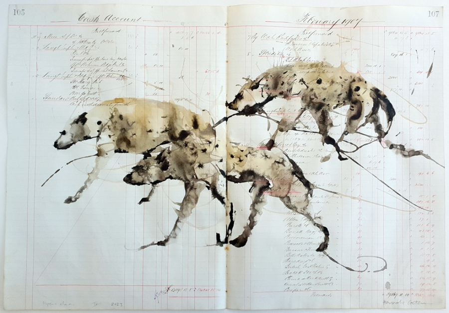 Hannelie Coetzee's Eco Queer creature series