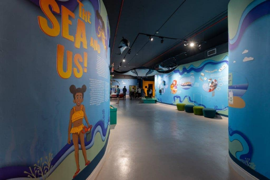 The Sea and Us